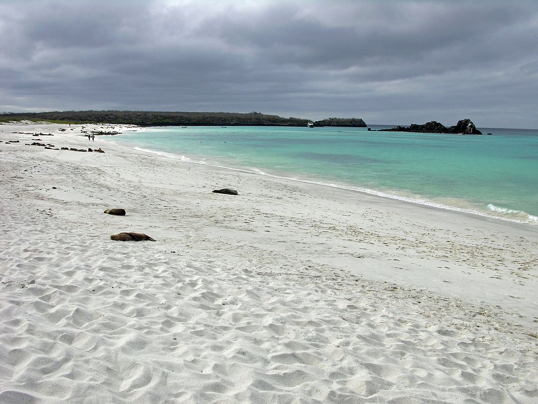 Galapagos 3-2-05 Espanola Gardner Bay Beach